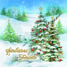 Felicitare de Craciun – Lux 15x15
